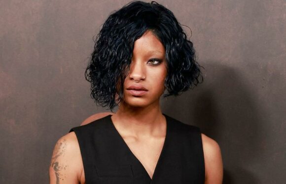 Willow Smith's Low-Rise Pants Come With Crystal-Lined Hip Cutouts