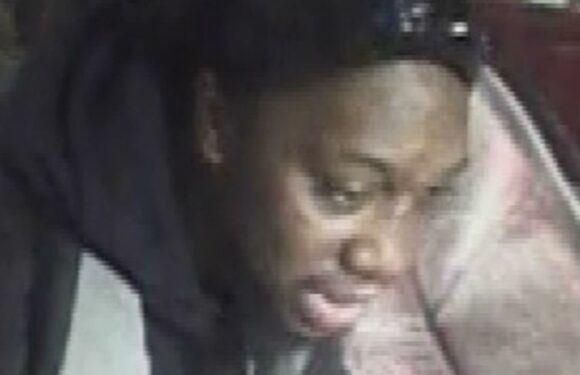 Woman, 22, sexually assaulted on London bus as cops release CCTV image of suspect | The Sun