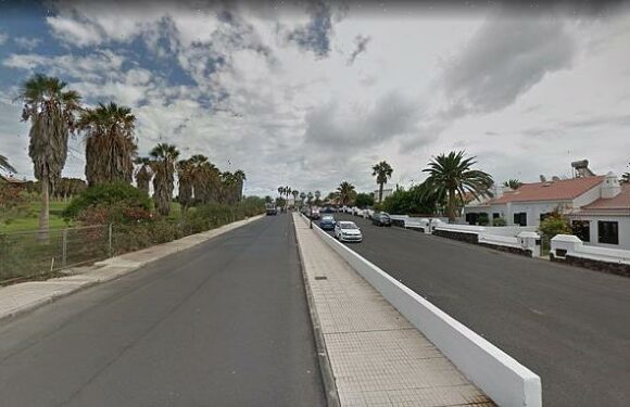 Woman, 50, dies after she and elderly mother were mowed by hit-and-run