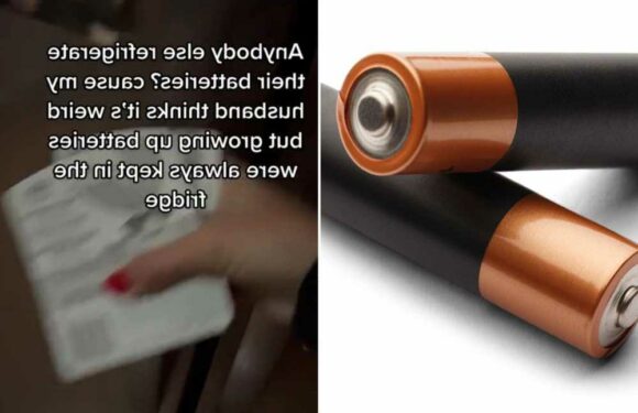 Woman divides opinion after she reveals the bizarre place she stores her batteries – but do you agree? | The Sun