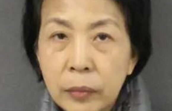 Woman hired assassin to kill ex’s new wife and kid – but he turned out to be cop