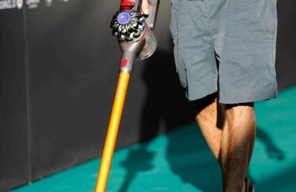 Woman raves about bargain £5 Dyson she’s just nabbed… then people point out her mortifying error | The Sun