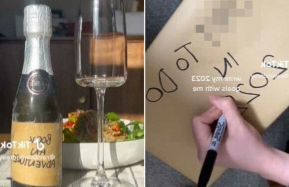 Woman shares clever way she makes sure she sticks to her New Year's resolutions – and it’s so easy to do | The Sun
