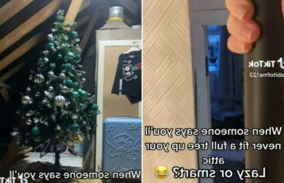Woman shares 'smart' hack to save time putting up her Christmas tree every year – but people aren't convinced | The Sun