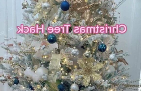 Woman shows off smart hack to filling pesky gaps in your Christmas tree and people are hailing her a genius | The Sun