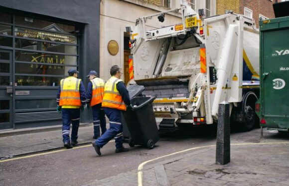 You could be fined HUNDREDS for making mistake when throwing out your Christmas rubbish – don’t get caught out | The Sun