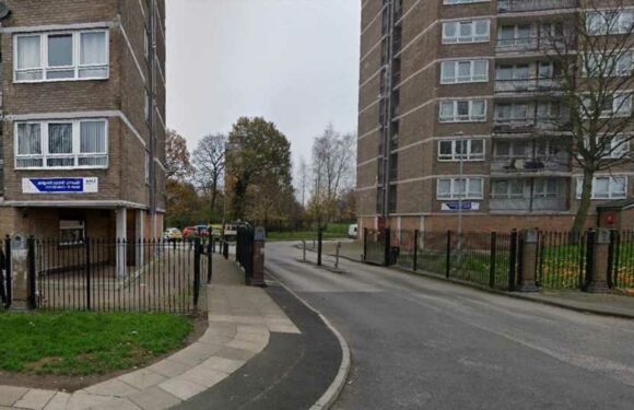 Young woman, 20, dies after 'disturbance' in flat as man, 19, arrested for 'murder' | The Sun