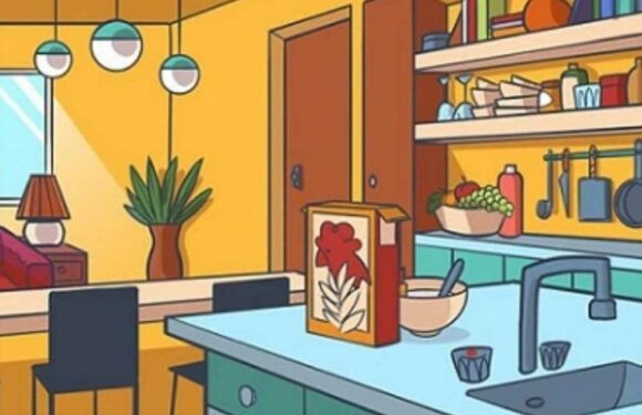 You’re in the top 5% if you can find the hidden lipstick in this brain-teaser – so can you spot it? | The Sun