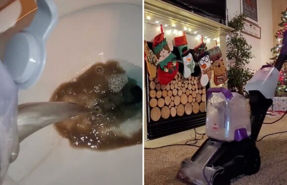 You’ve been cleaning your carpets wrong – adding a simple item makes all the difference | The Sun