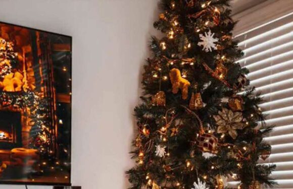 You've been taking photos of your Christmas tree totally wrong – the right way makes it look so much better | The Sun