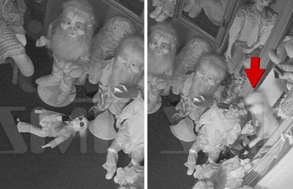 Zak Bagans Shows Off Haunted Ghost Doll Mysteriously Falling Off Shelf