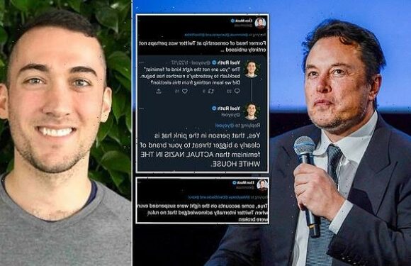 'The inmates were running the asylum': Elon Musk condemns Twitter