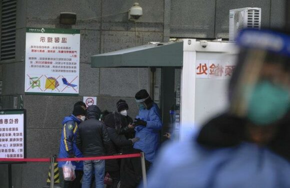 ‘Beijing’s really confused now’: China stops reporting most COVID cases