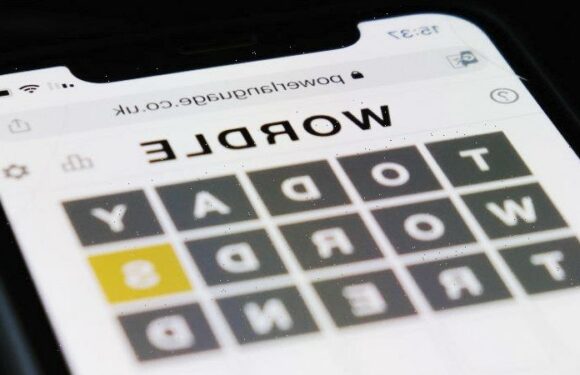 ‘Can dogs get COVID?’: Google unveils Australia’s top searches for 2022