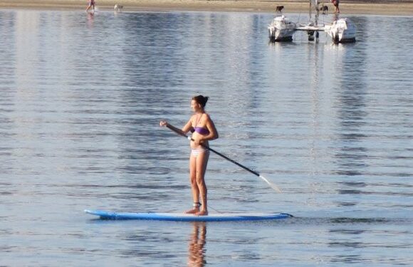 ‘General naivety’ puts novices at risk as paddleboard popularity grows