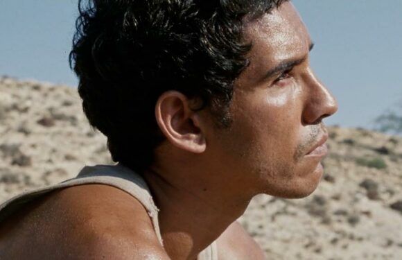 ‘Harka’ Review: The Festering Aftermath of a Dream Deferred