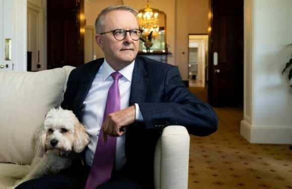 ‘I feel like I’ve been underestimated my whole life’: Albanese puts critics on notice
