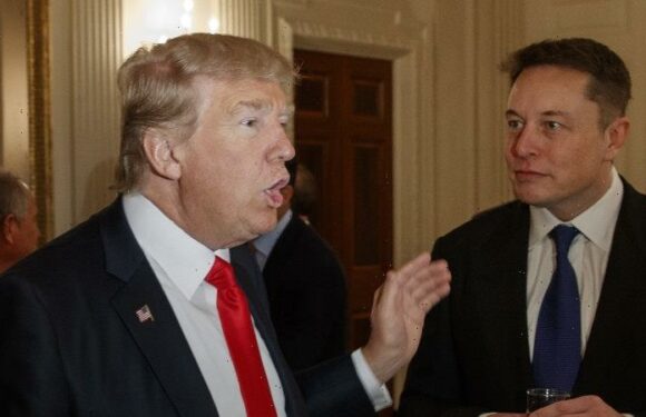 ‘Owing the libs’: Why Elon is clobbering Donald’s presidential campaign