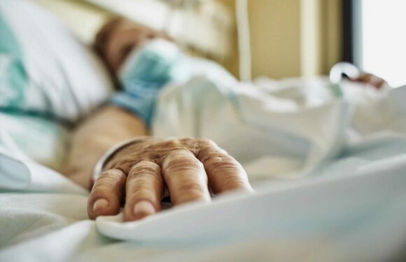 ‘Worst winter flu outbreak in years strikes’ as hospitalisations surge 40% in a week | The Sun