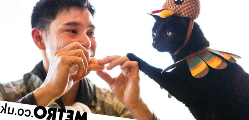 'Naughty' cat loves stealing his owner's food right off the fork
