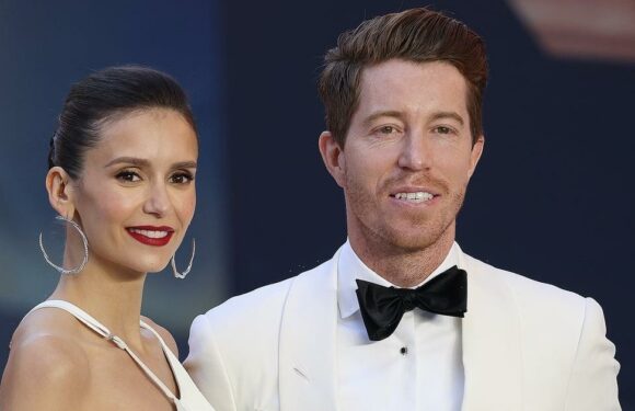 13 Famous Men Who Have Been Linked to Nina Dobrev