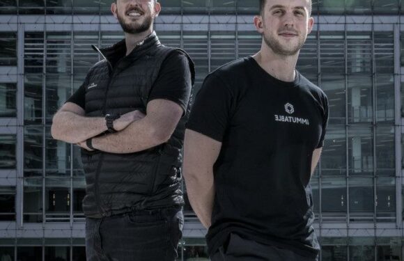 $1m crypto mystery loan to Alameda Research