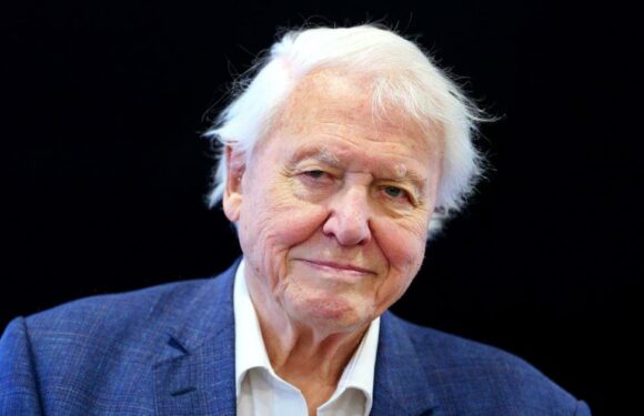 AI clone under fire over fake Emma Watson reading Hitler and Attenborough rant