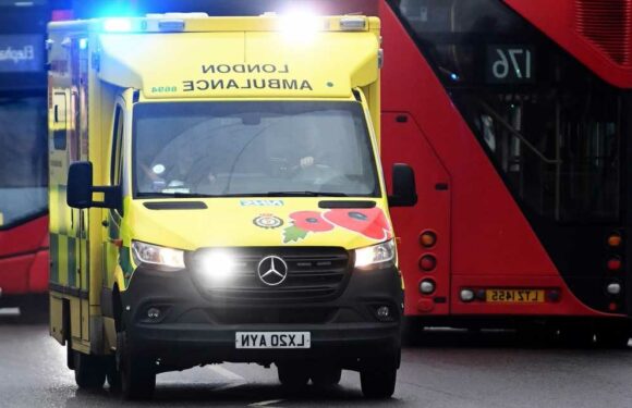 A&E delays and ambulance waiting times hit record highs as waiting lists fall by just 30k | The Sun