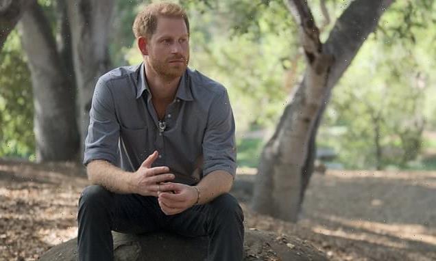 Addicts were 'stunned' when Prince Harry confessed to taking drugs