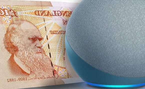 Amazon has made buying a new Kindle and Echo even more affordable