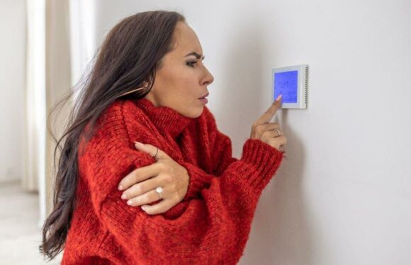 Argos’ £32 heater ‘cheaper to run than central heating’