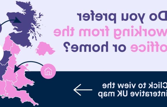 Brits' most productive time of the day revealed – and the period when most workers hit a slump | The Sun