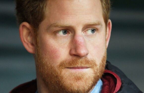 Caroline Flacks pals call Harry Prince Charming after his kind words about late star