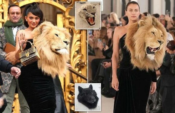 Carrie Johnson blasts fashion line featuring ANIMAL HEAD replicas