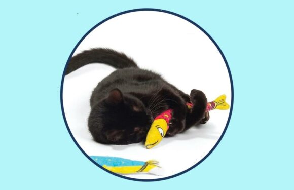 Cat Owners Swear This Fish Toy With Silver Vine Works Even Better Than Catnip & It's Under $20
