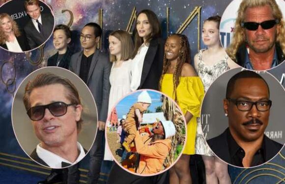 Celebs With The Most Kids