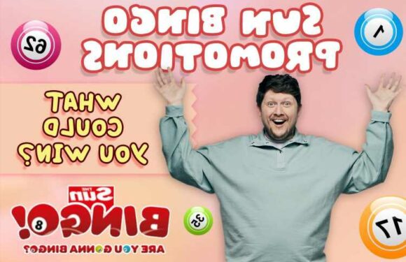 Check out the latest Sun Bingo offers and promotions that you can use today | The Sun