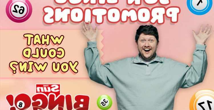 Check out the latest Sun Bingo offers and promotions that you can use today | The Sun