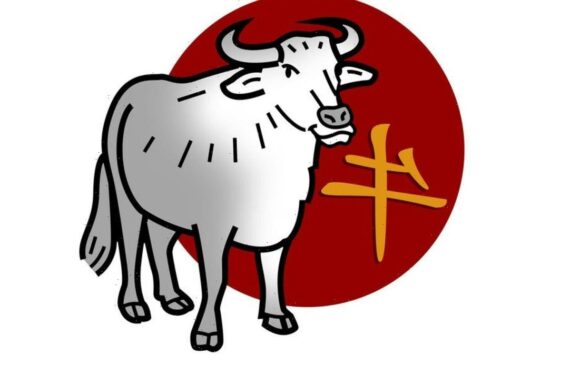 Chinese zodiac sign that needs to restrain their temper in 2023