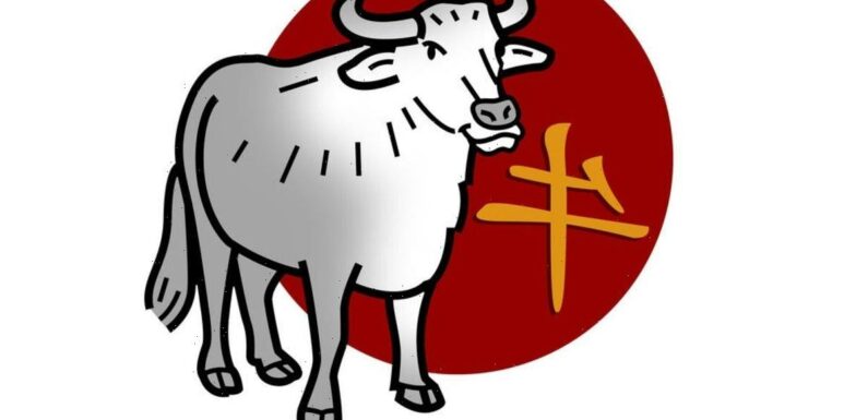 Chinese zodiac sign that needs to restrain their temper in 2023