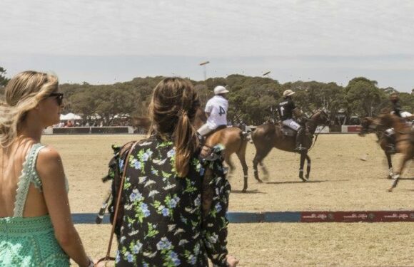 Chukka can’t: Where have the big polo tournaments gone?