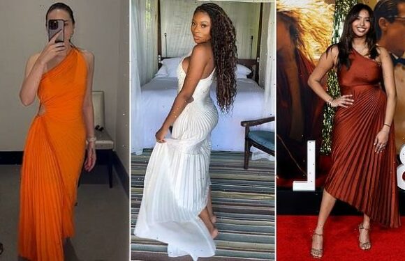 Classy waist clinching dress with clever pleat design goes viral