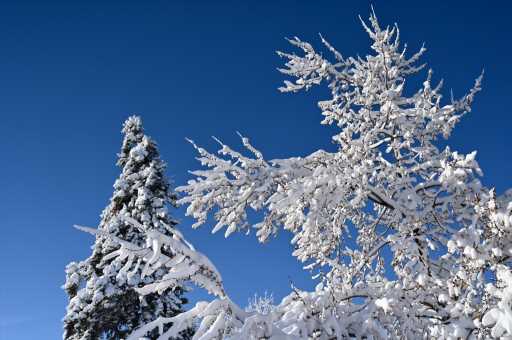 Colorado snow totals for Jan. 17-18, 2023