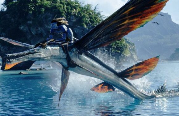 Could box-office hits like Avatar and Top Gun: Maverick nab an Oscar nomination?