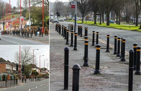 Council is slammed for decision to install 60 bollards outside school