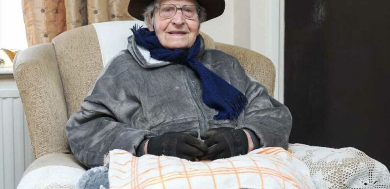 D-Day war hero, 103, forced to wrap up in TEA TOWELS & oven gloves to stay warm after energy firm left him without meter | The Sun