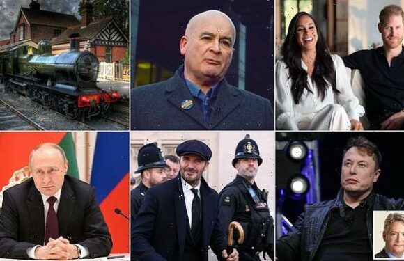 DOMINIC LAWSON: My irreverent predictions for 2023