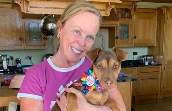 Dancing On Ice judge Jayne Torvill’s sprawling Sussex family home with huge kitchen