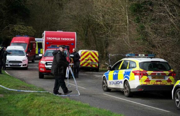 Dog walker Natasha Johnston, 28, named as woman mauled to death when animals set upon her like a ‘pack of wolves’ | The Sun