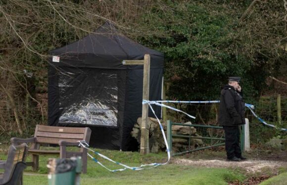 Dogwalker, 28, savaged to death by ferocious dog in park ‘while walking 7 pets’ as witnesses reveal ‘haunting’ mauling | The Sun